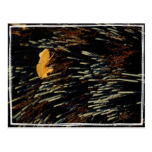 Route 66 Push Broom Post Card