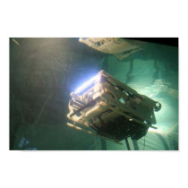 ROV EdVard Print