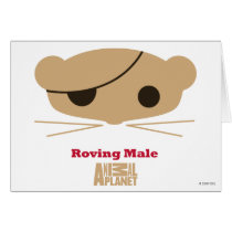 Roving Male Card