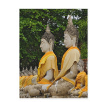 Row of Buddha statues, Wat Yai Chaya Mongkol Post Card