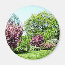 Row of Flowering Trees Fridge Magnet