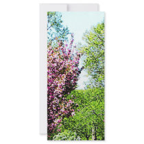 Row of Flowering Trees Customized Rack Card