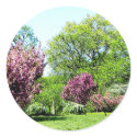 Row of Flowering Trees sticker