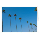 Row of Palm Trees Cards