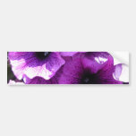 Row of Purple Petunias Bumper Stickers