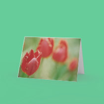 "Row of Red" Greeting Card cards