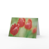 "Row of Red" Greeting Card