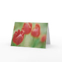 "Row of Red" Greeting Card by ChelseaKerwath "Row of Red" Greeting Card