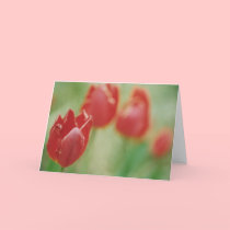"Row of Red" Greeting Card