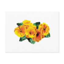 Row Yellow Primroses postcards