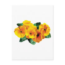 Row Yellow Primroses postcards