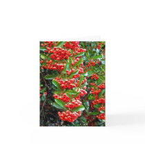 Rowan Berry Note Card by JeanBHall Rowan Berry Note Card