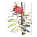 Rowan Study posters