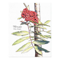 Rowan Study posters by talkingfox Rowan Study posters