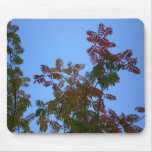 Rowan Tree Fall Mouse Pads