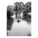 Rowboat in the Park poster posters