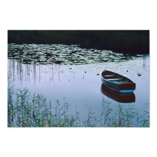 Rowboat on small lake surrounded by water photograph | Zazzle