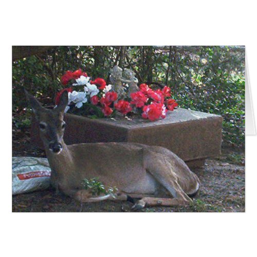 ROWDY WITH THE FLOWER BOX card