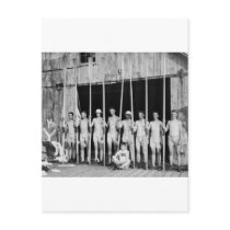 Rowing Crew, 1916 Postcards