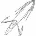 EDUN LIVE Genesis Unisex Standard Crew