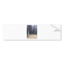 Rows of trees bumper stickers