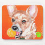 Roxanne's Stewie Mousepad