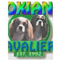 Roxians Logo Full Color Flyer