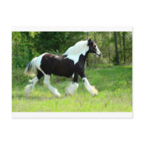 Roxie Post Cards