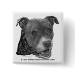 Roxy, American Pit Bull Terrier Pinback Buttons
