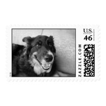 Roxy Smiles postage
