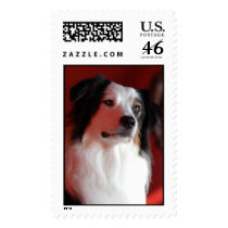 Roxy Stamp
