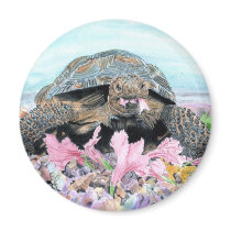 Roxy the Turtle Magnet