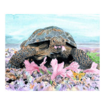 Roxy the Turtle Print by mozache Roxy the Turtle Print