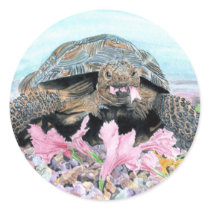 Roxy the Turtle Round Stickers