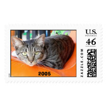 RoxyOrangeChairSmaller, 2005 postage by scorpiodc RoxyOrangeChairSmaller, 2005 postage