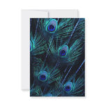 Royal Blue Purple Peacock Feathers Wedding Custom Invitations