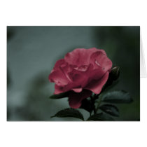 Royal Blush Card