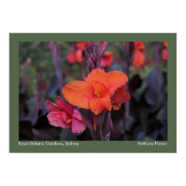 Royal Botanic Gardens - Sydney, Australia posters