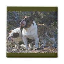 Royal Bulldogs Magnet
