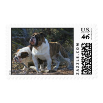 Royal Bulldogs Postage postage