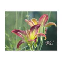 Royal Daylily Greetings postcards by littlewingdesign Royal Daylily Greetings postcards
