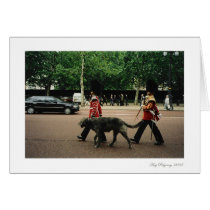 Royal Dog Walkers cards by Shokara Royal Dog Walkers cards