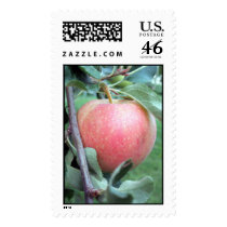 Royal Gala Apple postage