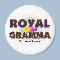 Royal Gramma magnets