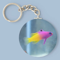 Royal Gramma Photo keychains