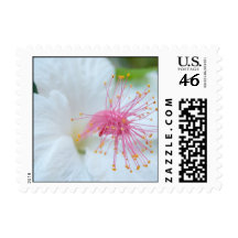 Royal Hawaiian Hibiscus Stamp