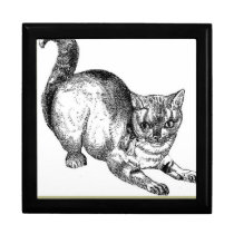 Royal Kitty Drawing Jewelry Box