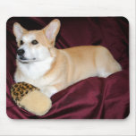 Royal Looking Pembroke Welsh Corgi Mouse Pads