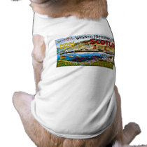 Royal Mail Steamers - Glasgow - Vintage pet clothing