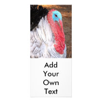 Royal Palm Turkey Custom Rack Card